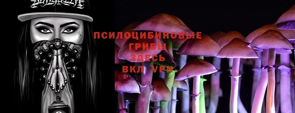твердый Осташков