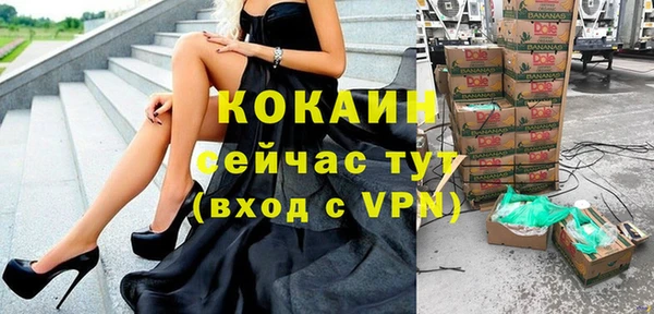 твердый Осташков