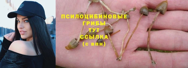 СК Анива