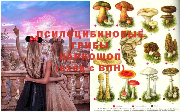 твердый Осташков