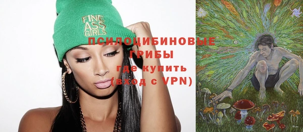 МДПВ Осинники