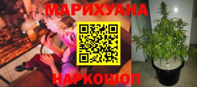 apvp Кингисепп