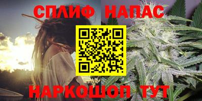 дживик Кимры