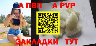 apvp Кингисепп