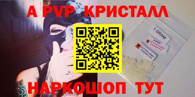 apvp Кингисепп