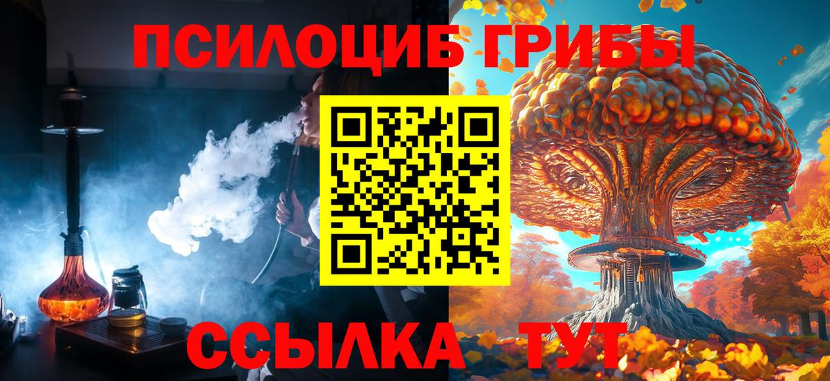 Псилоцибиновые грибы Cubensis  Вход с VPN  Керчь  Псилоцибиновые грибы Cubensis 